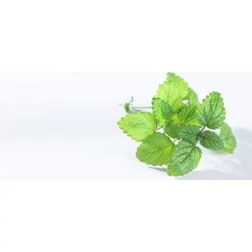 ORVOSI CITROMFŰ AROMAVÍZ / MELISSA OFFICINALIS 200 ML