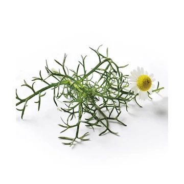RÓMAI KAMILLA AROMAVÍZ / CHAMAEMELUM NOBILE 200 ML