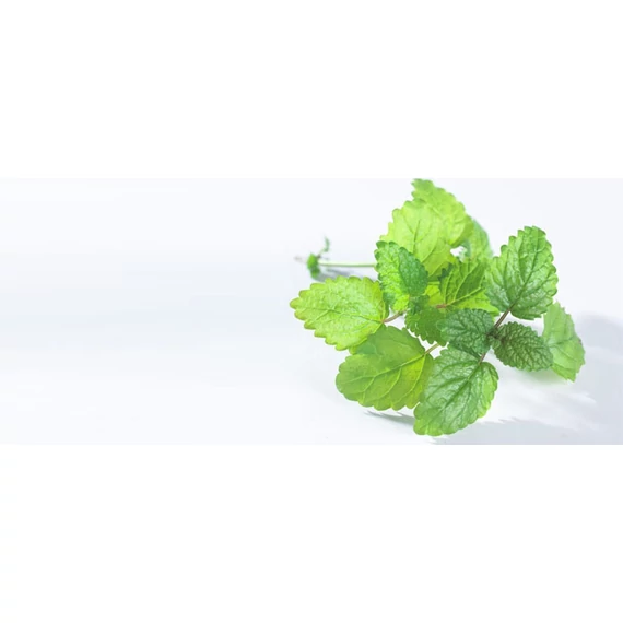 ORVOSI CITROMFŰ AROMAVÍZ / MELISSA OFFICINALIS 200 ML