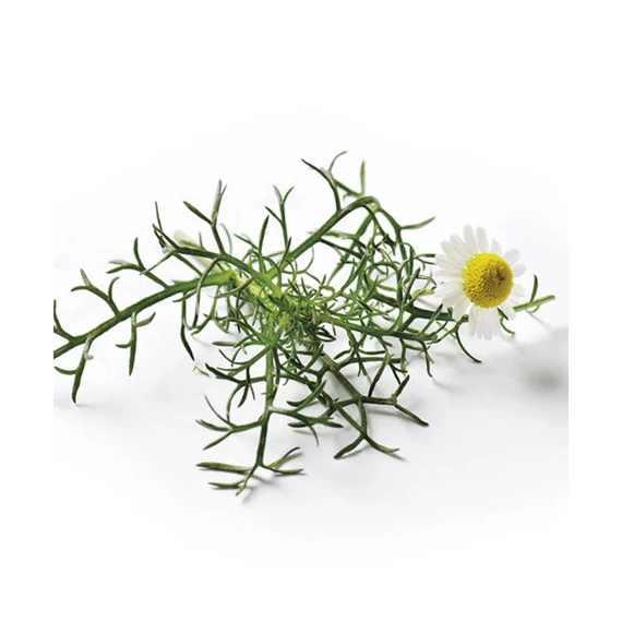 RÓMAI KAMILLA AROMAVÍZ / CHAMAEMELUM NOBILE 200 ML